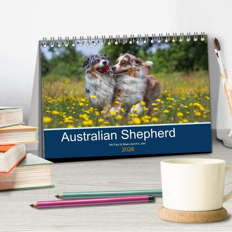 Produktbild: Australian Shepherd 2026 (Tischkalender 2026 DIN A5 quer), CALVENDO Monatskalender