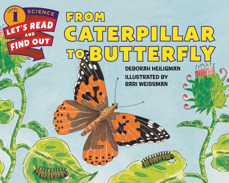 Produktbild: From Caterpillar to Butterfly