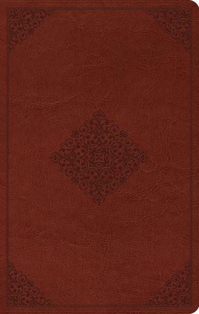 Produktbild: ESV Large Print Value Thinline Bible