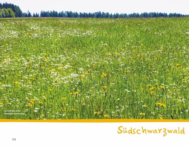 Produktbild: Wanderspa&szlig; mit Kindern &ndash; Schwarzwald