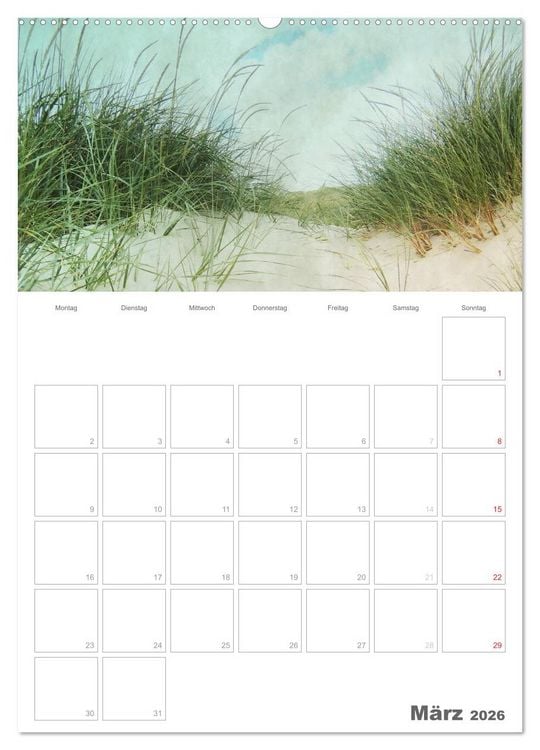 Produktbild: D&auml;nemarks Westk&uuml;ste (Wandkalender 2026 DIN A2 hoch), CALVENDO Monatskalender