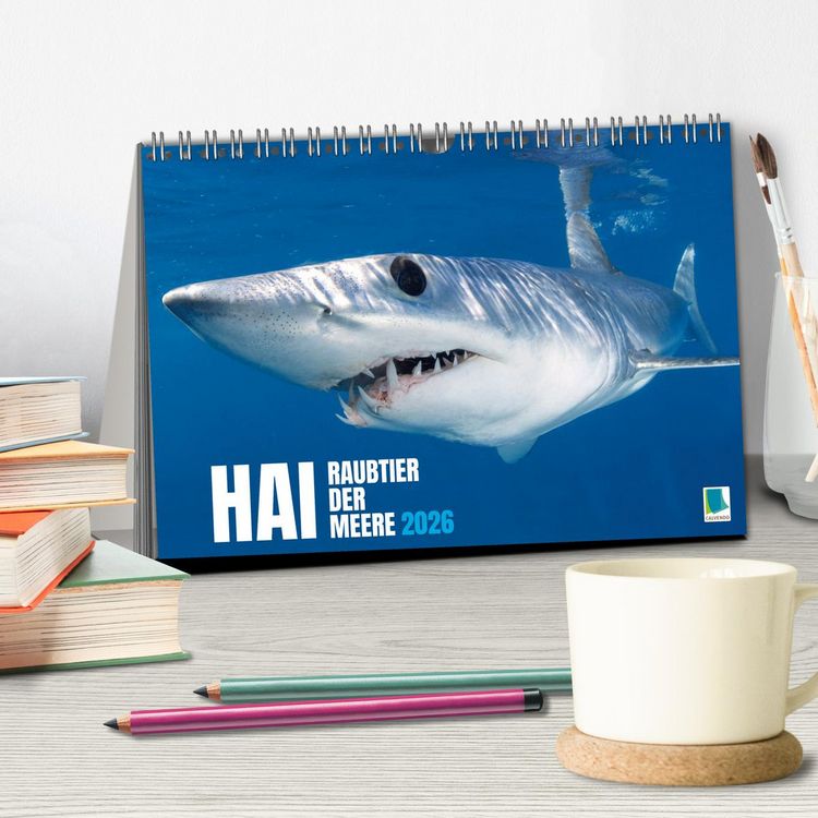 Produktbild: Hai: Raubtier der Meere (Tischkalender 2026 DIN A5 quer), CALVENDO Monatskalender