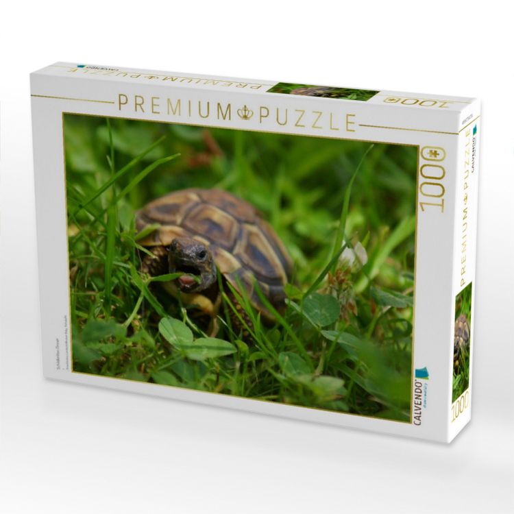 Produktbild: CALVENDO Puzzle Schildkr&ouml;ten Dinner | 1000 Teile Lege-Gr&ouml;&szlig;e 64x48cm Foto-Puzzle f&uuml;r gl&uuml;ckliche Stunden