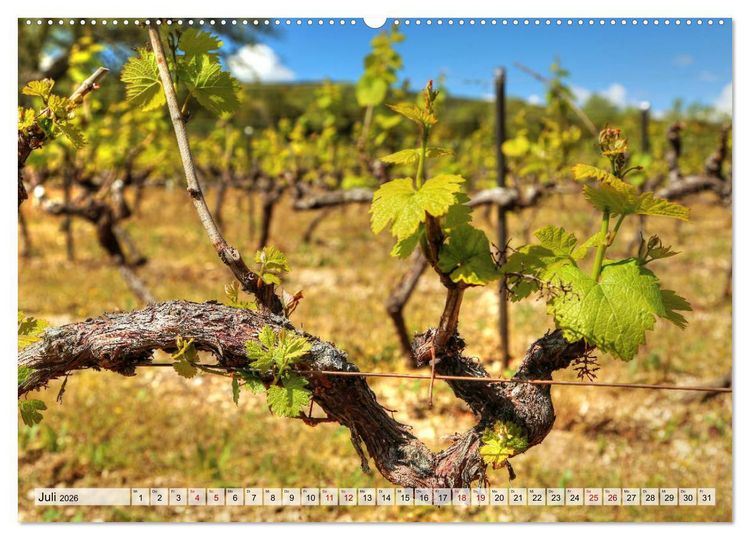 Produktbild: Provence - Magie des Lichtes (hochwertiger Premium Wandkalender 2026 DIN A2 quer), Kunstdruck in Hochglanz