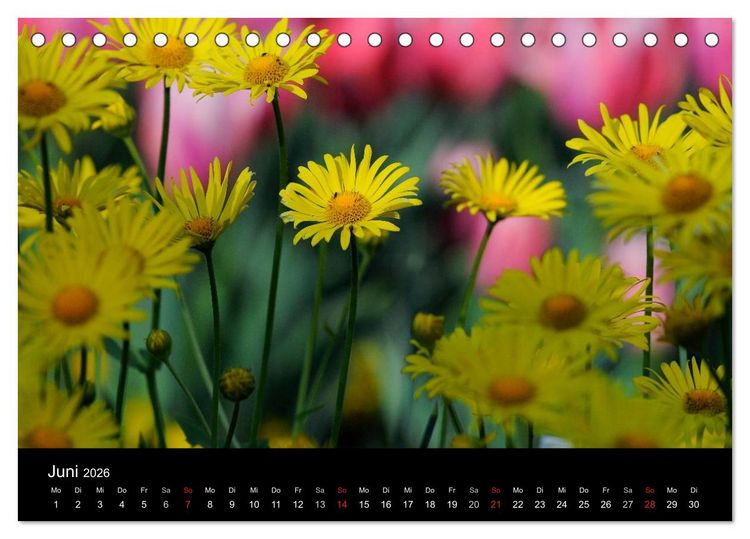 Produktbild: Jahreszeiten / 2026 (Tischkalender 2026 DIN A5 quer), CALVENDO Monatskalender