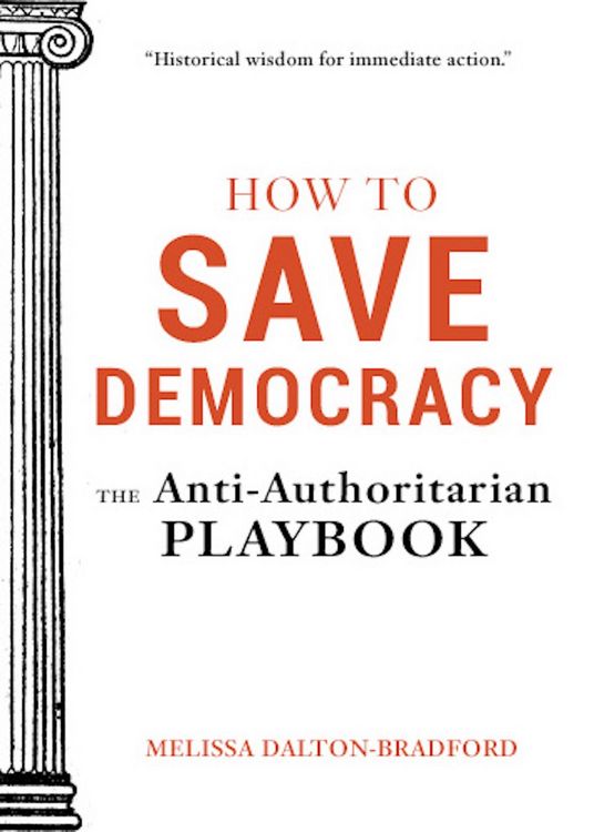 Produktbild: How to Save Democracy