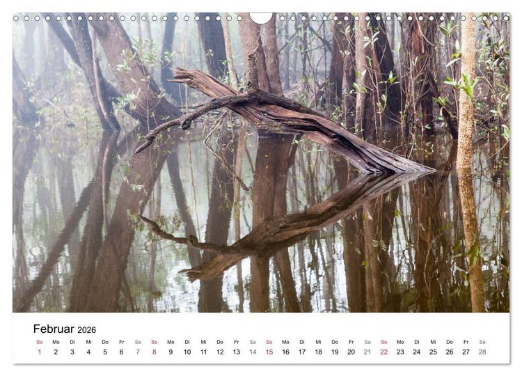 Produktbild: Mythos Amazonas - Naturparadies Brasiliens (Wandkalender 2026 DIN A3 quer), CALVENDO Monatskalender