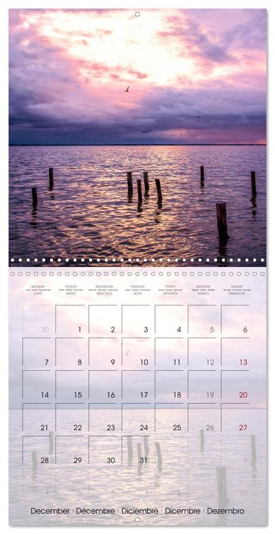 Produktbild: Floride &ndash; D&eacute;couvertes dans l'&Eacute;tat du soleil (Calendrier mural carr&eacute; 2026 30x30 cm) Calendrier double avec une page pour vos prises de notes
