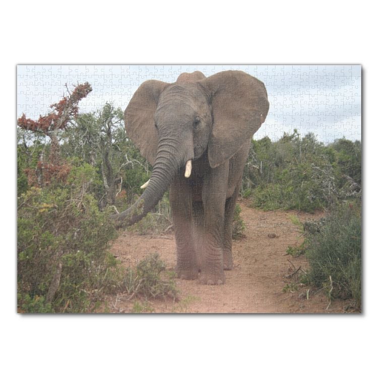 Produktbild: Lais Puzzle Elefant 1000 Teile