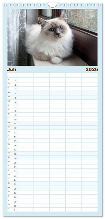 Produktbild: Familienplaner 2026 - Heilige Birma Katzen - Eine Rasse mit traumhaft blauen Augen. mit 5 Spalten (Wandkalender, 21 x 45 cm) CALVENDO