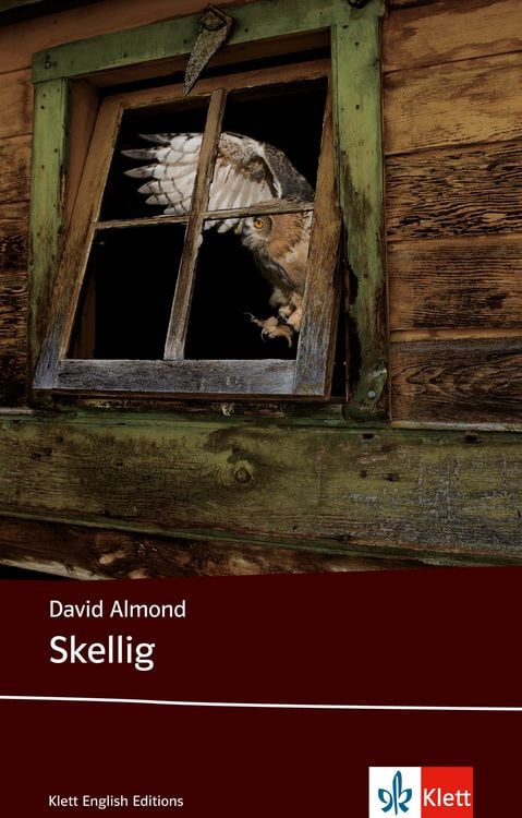 Produktbild: Skellig