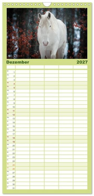 Produktbild: Familienplaner 2027 - Die Faszinierende Welt der Pferde mit 5 Spalten (Wandkalender, 21 x 45 cm) CALVENDO