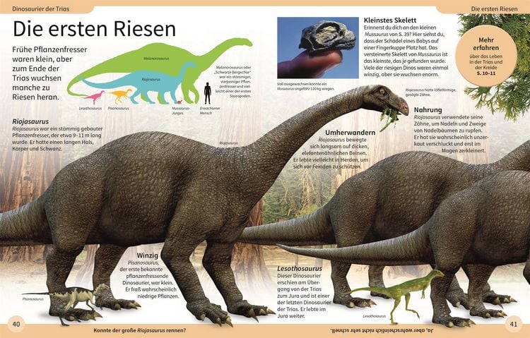 Produktbild: DK Kinderlexikon. Dinosaurier