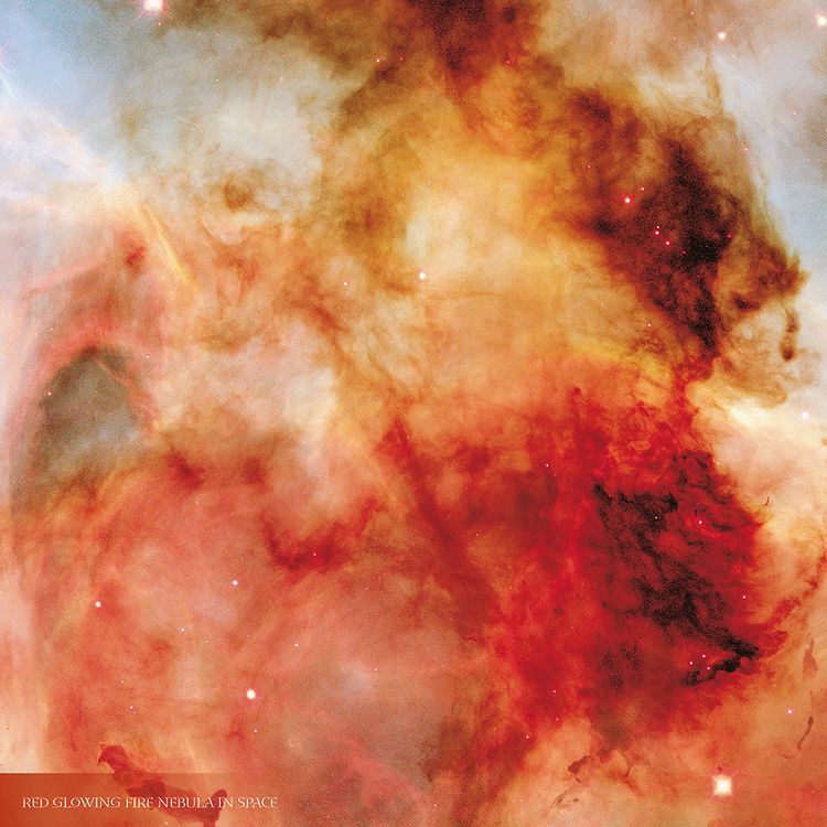 Produktbild: Where Stars are Born 2024