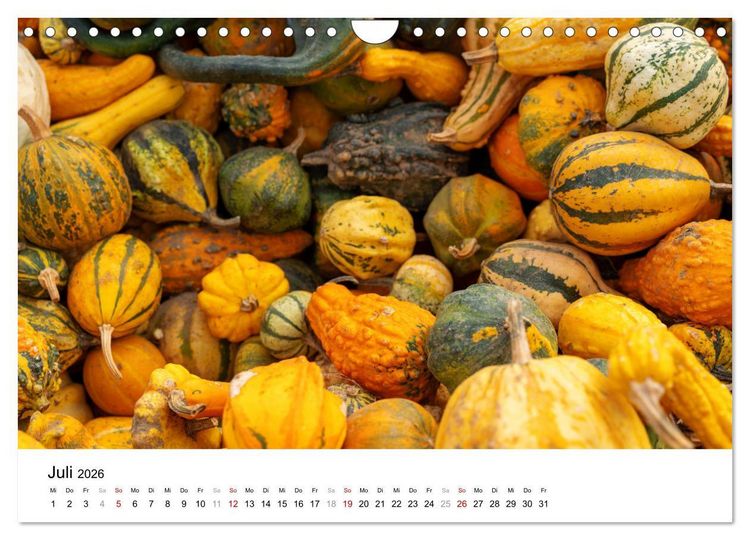 Produktbild: K&Uuml;RBIS KALENDER - Die sch&ouml;nsten K&uuml;rbisse des Jahres (Wandkalender 2026 DIN A4 quer), CALVENDO Monatskalender