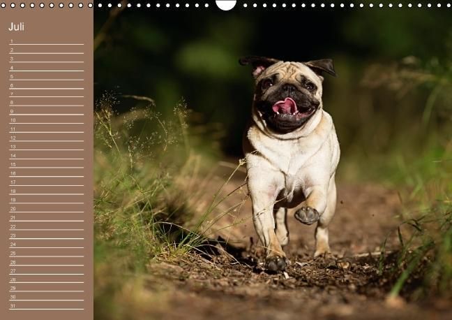 Produktbild: Ein Mops f&uuml;rs Herz (Wandkalender immerw&auml;hrend DIN A3 quer)