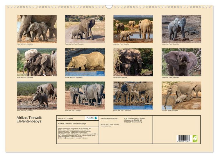 Produktbild: Afrikas Tierwelt: Elefantenbabys (Wandkalender 2026 DIN A2 quer), CALVENDO Monatskalender