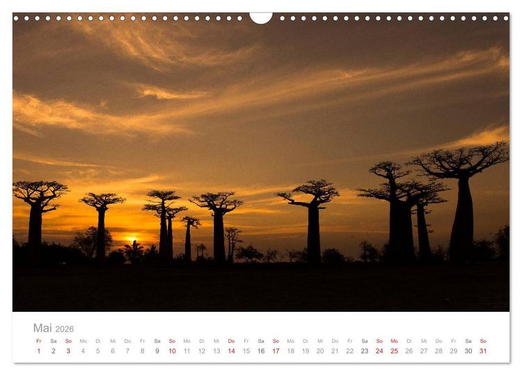 Produktbild: Paradies Madagaskar (Wandkalender 2026 DIN A3 quer), CALVENDO Monatskalender