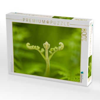 Produktbild: CALVENDO Puzzle Adlerfarn (Pteridium aquilinum) | 1000 Teile Lege-Gr&ouml;&szlig;e 64x48cm Foto-Puzzle f&uuml;r gl&uuml;ckliche Stunden