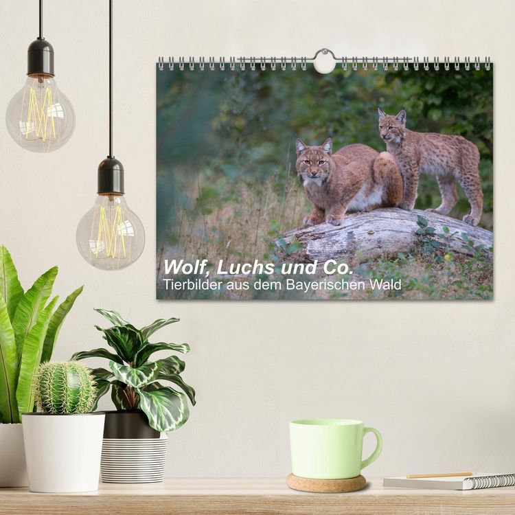 Produktbild: Wolf, Luchs und Co. - Tierbilder aus dem Bayerischen Wald (Wandkalender 2026 DIN A4 quer), CALVENDO Monatskalender