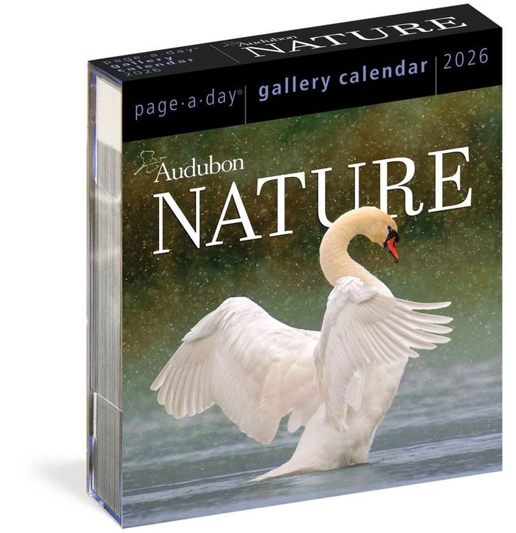 Produktbild: Audubon Nature Page-A-Day(r) Gallery Calendar 2026