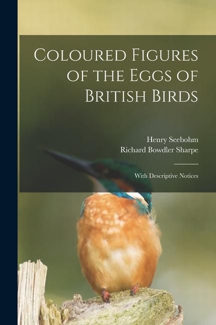 Produktbild: Coloured Figures of the Eggs of British Birds: With Descriptive Notices