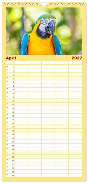 Produktbild: Familienplaner 2027 - Aras und bunte Sittiche: Exotische Papageien-Portr&auml;ts mit 5 Spalten (Wandkalender, 21 x 45 cm) CALVENDO