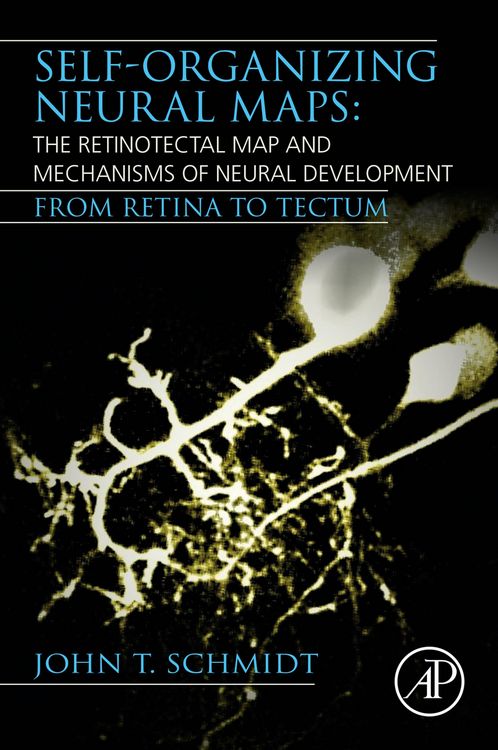 Produktbild: Self-organizing Neural Maps: The Retinotectal Map and Mechanisms of Neural Development