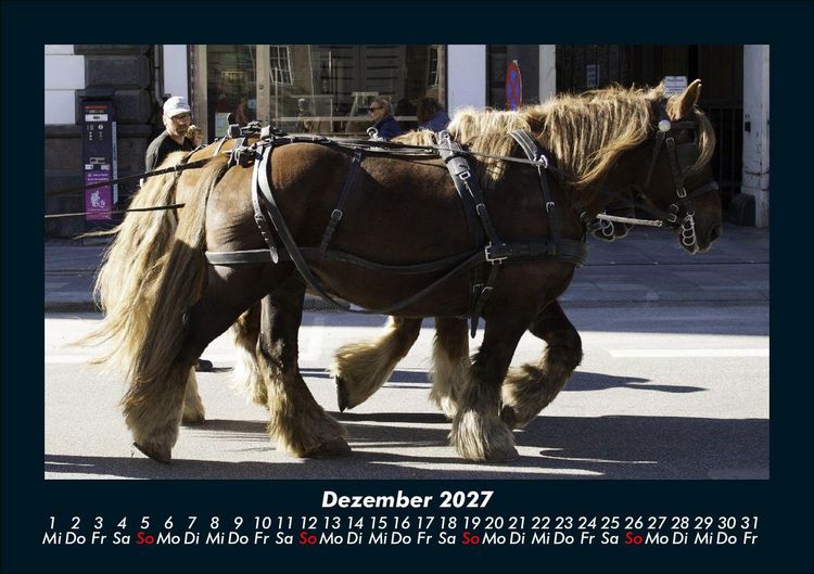 Produktbild: Die Welt der Pferde 2027 Fotokalender DIN A5