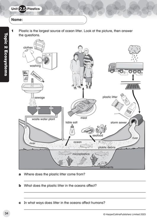 Produktbild: International Primary Science Progress Book Teacher Pack: Stage 6