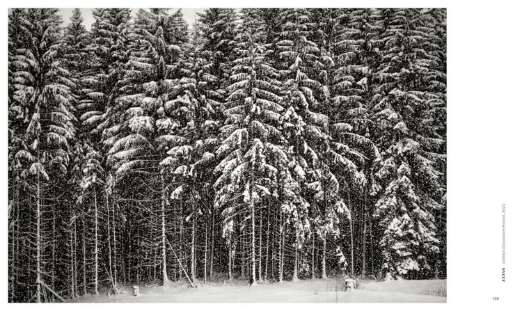 Produktbild: Robert Longo: The Acceleration of History