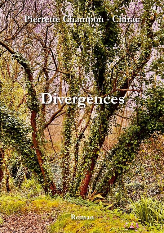 Produktbild: Divergences