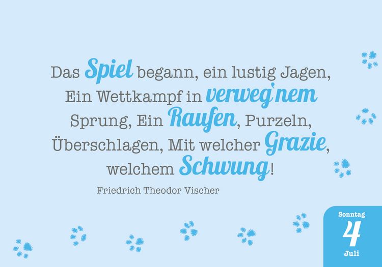 Produktbild: Katzenpoesie 2027