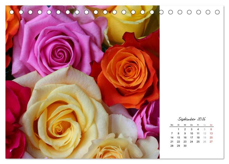 Produktbild: Die vielen Gesichter der Rosen (Tischkalender 2026 DIN A5 quer), CALVENDO Monatskalender