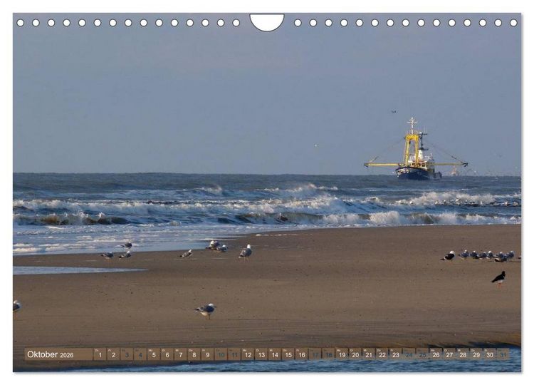 Produktbild: Strandwanderungen auf Texel (Wandkalender 2026 DIN A4 quer), CALVENDO Monatskalender