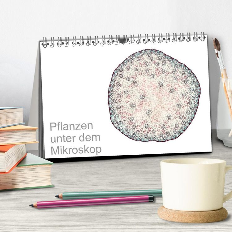 Produktbild: Pflanzen unter dem Mikroskop (Tischkalender 2026 DIN A5 quer), CALVENDO Monatskalender