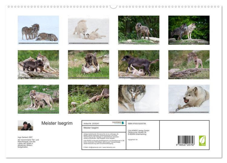 Produktbild: Meister Isegrim (hochwertiger Premium Wandkalender 2026 DIN A2 quer), Kunstdruck in Hochglanz