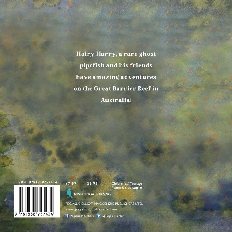 Produktbild: Hairy Harry's very Hairy Day