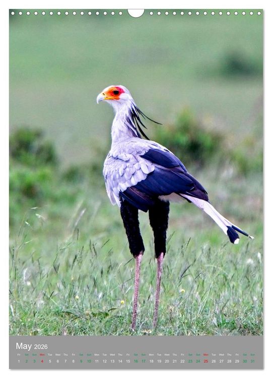 Produktbild: Wildlife of the Masai Mara (Wall Calendar 2026 DIN A3 portrait), CALVENDO 12 Month Wall Calendar