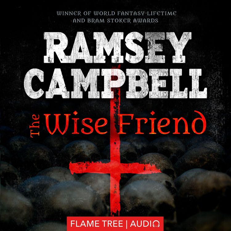 Produktbild: The Wise Friend