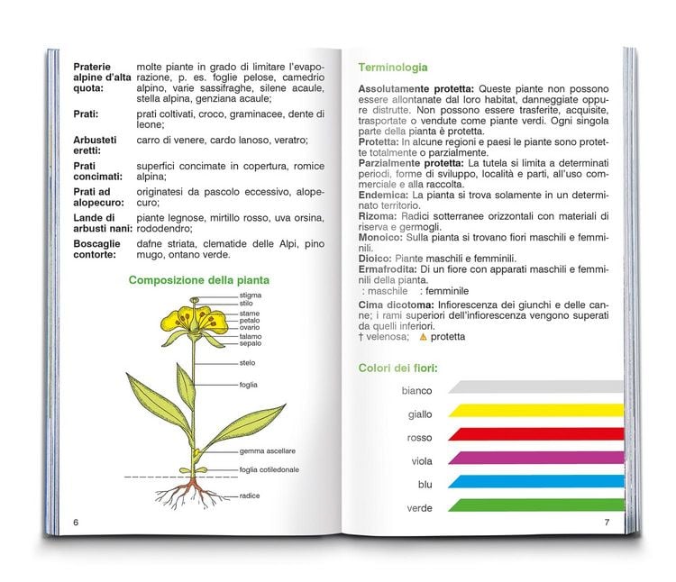 Produktbild: Fiori alpini