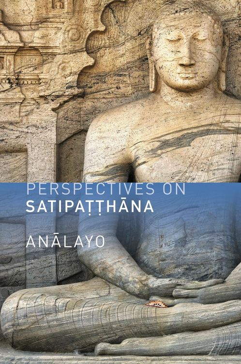 Produktbild: Perspectives on Satipatthana