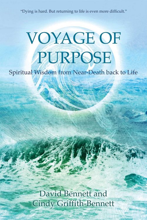 Produktbild: Voyage of Purpose