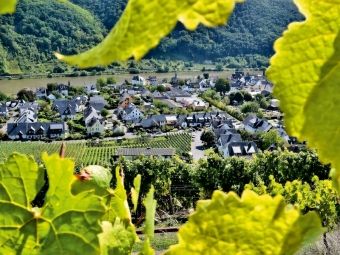 Produktbild: CALVENDO Puzzle Der Winzerort Winningen an der Mosel | 1000 Teile Lege-Gr&ouml;&szlig;e 64x48cm Foto-Puzzle f&uuml;r gl&uuml;ckliche Stunden