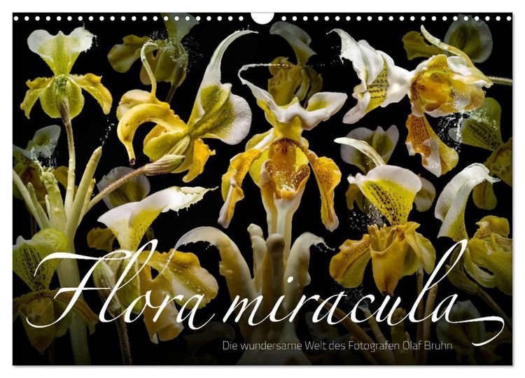 Produktbild: Flora miracula - Die wundersame Welt des Fotografen Olaf Bruhn (Wandkalender 2026 DIN A3 quer), CALVENDO Monatskalender