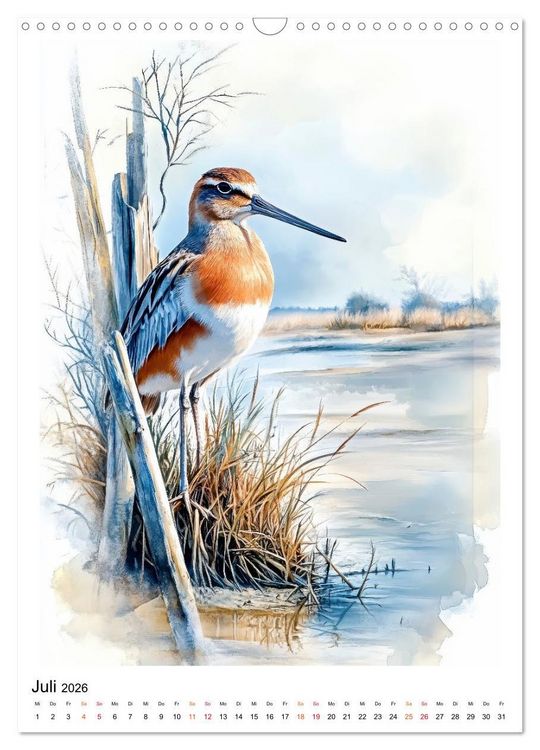 Produktbild: V&ouml;gel - gefiederte Freunde in Wald und Feld (Wandkalender 2026 DIN A3 hoch), CALVENDO Monatskalender