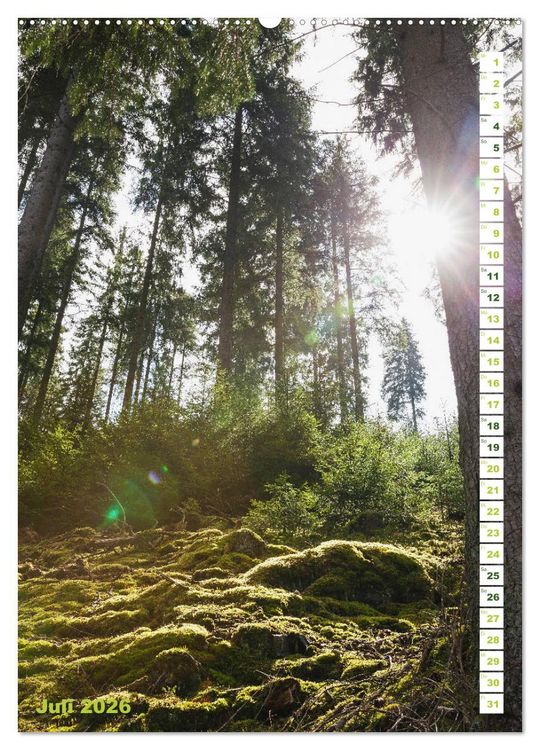 Produktbild: EIFEL - Kraftorte Wald und Wasser (hochwertiger Premium Wandkalender 2026 DIN A2 hoch), Kunstdruck in Hochglanz