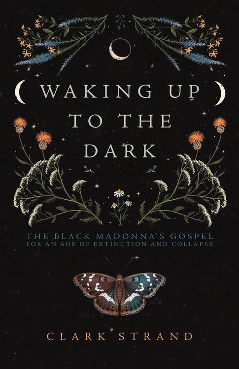 Produktbild: Waking Up to the Dark