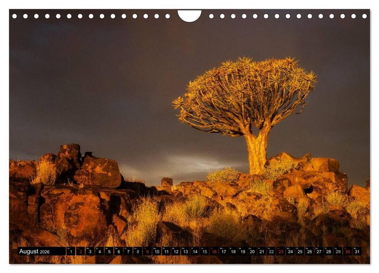 Produktbild: Afrikas B&auml;ume (Wandkalender 2026 DIN A4 quer), CALVENDO Monatskalender