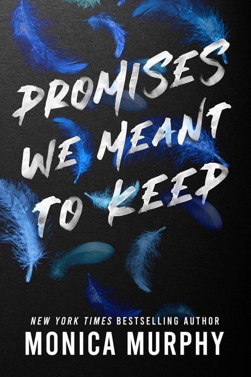 Produktbild: Promises We Meant to Keep